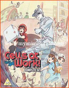 On Monday the Cells at Work and Movie Third Code Geass Recap Will be Released 
