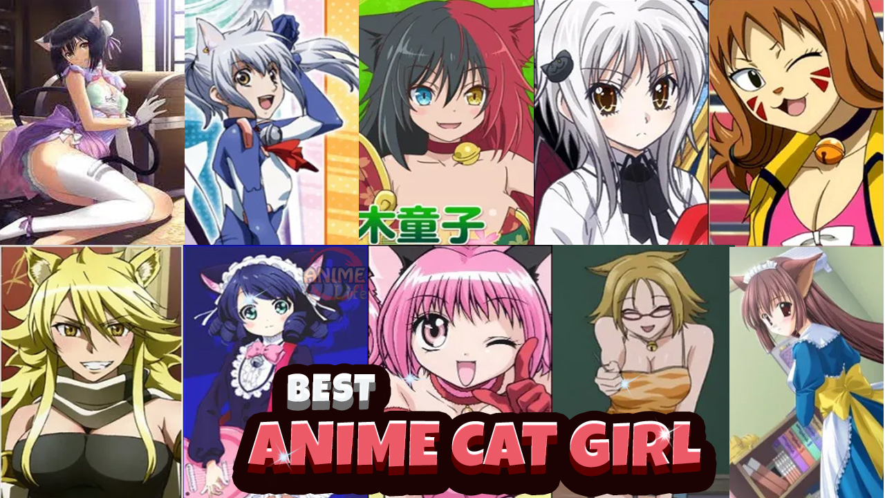 DJ Fluffy Anime Catgirl 1920x1080