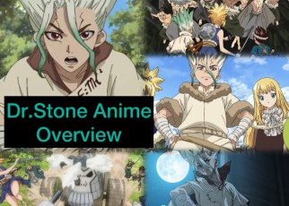 Dr. Stone Anime - Overview - Seasons and more