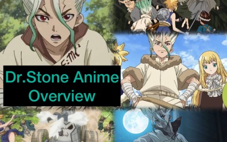 Dr. Stone Anime - Overview - Seasons and more